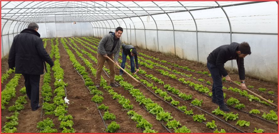 258 AİLEYE SERACILIK DESTEĞİ VERİLECEK