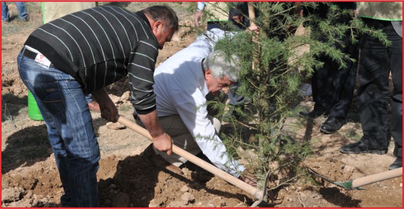 950 FİDAN TOPRAKLA BULUŞTURULDU