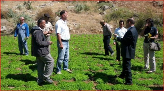SARIVELİLER’DE TIBBİ AROMATİK BİTKİLER İNCELENDİ