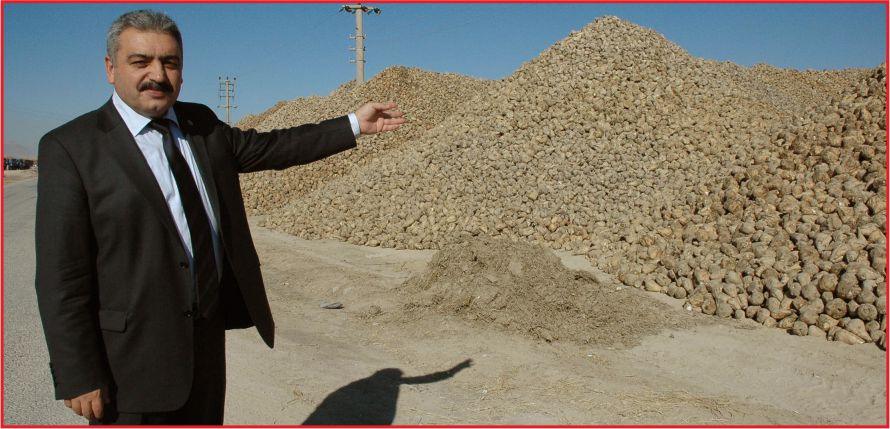 82 BİN DEKARDAN 547 BİN TON PANCAR