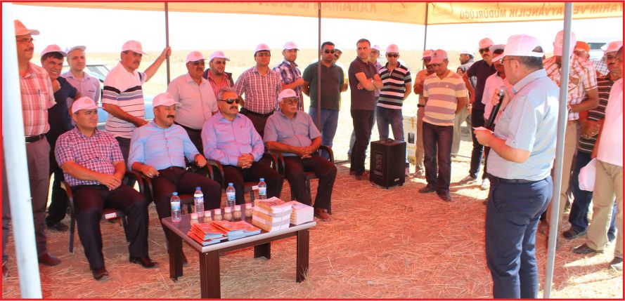 BÖLÜKYAZI KÖYÜNDE  TARLA GÜNÜ