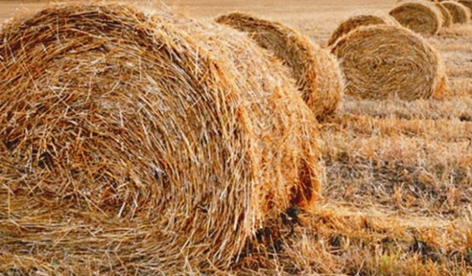 SAKLANAN SAMAN DEĞERİNİ BULDU