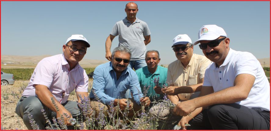 KARAMAN'DA HERYER LAVANTA KOKACAK..