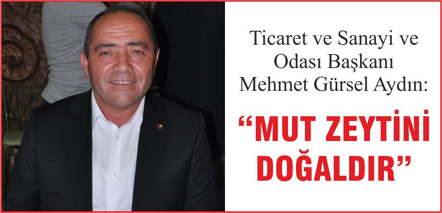 “MUT ZEYTİNİ DOĞALDIR”