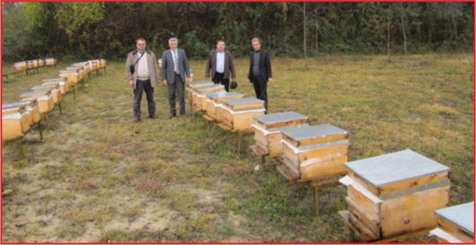 200 ARI KOVANI DAĞITILACAK