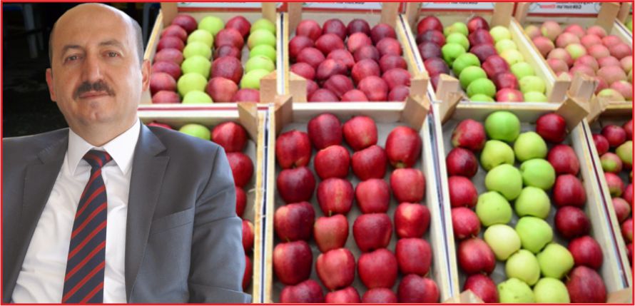 “ELMA’DA REKORLAR KIRACAĞIZ”