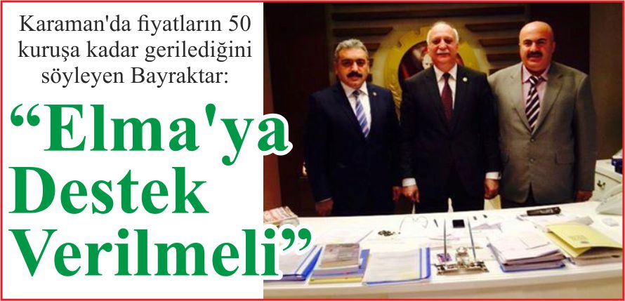 “ELMA’YA DESTEK VERİLMELİ”