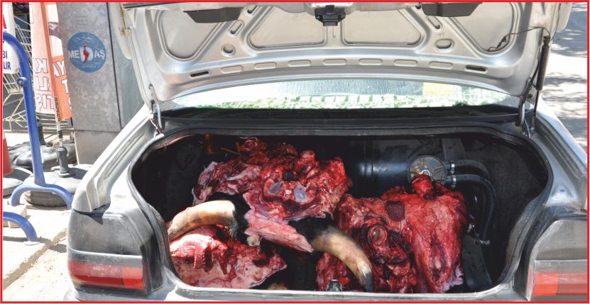 “KASAP ET DERDİNDE”