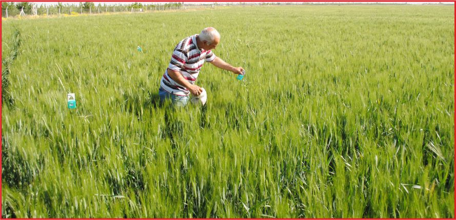 FAYDALI BÖCEK SALIMI