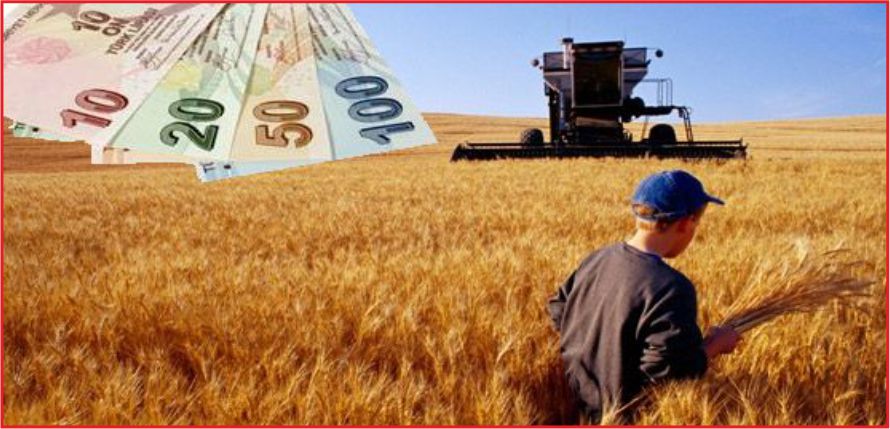 ÇİFTÇİLERE 2 MİLYAR LİRALIK DESTEK ÖDEMESİ