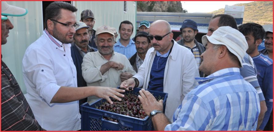 SARIVELİLER’DE KİRAZ BORSASI