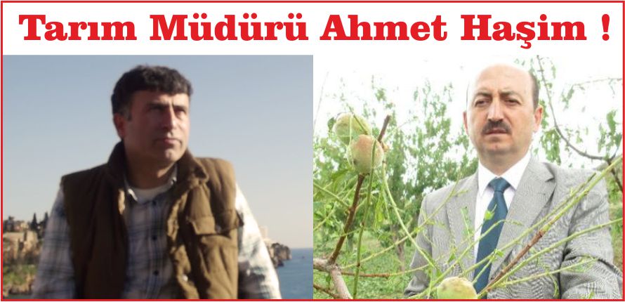 TARIM MÜDÜRÜ AHMET HAŞİM !
