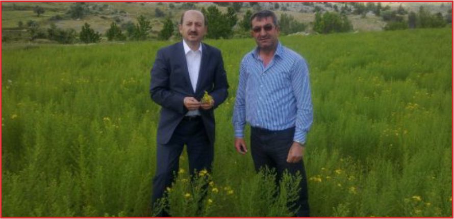 8.ETAP HİBE BAŞVURULARI  UZATILDI