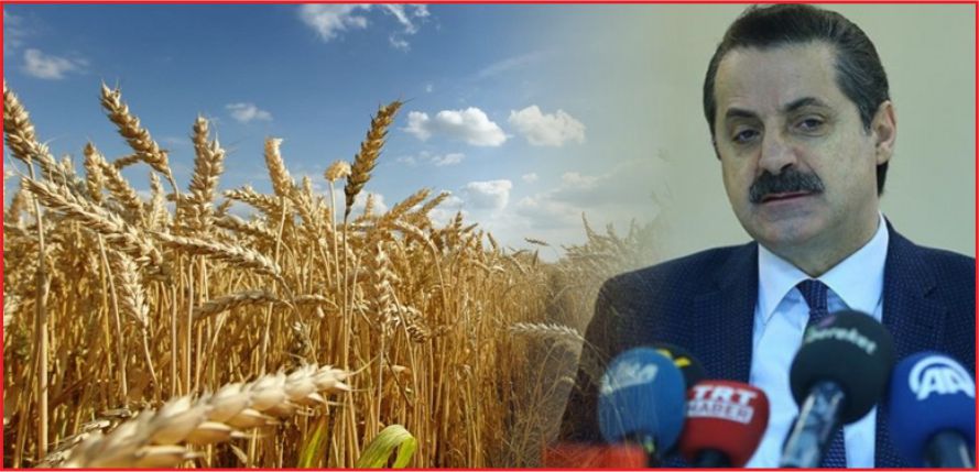 BUĞDAYDA KURAKLIĞA KARŞI SİGORTA GÜVENCESİ