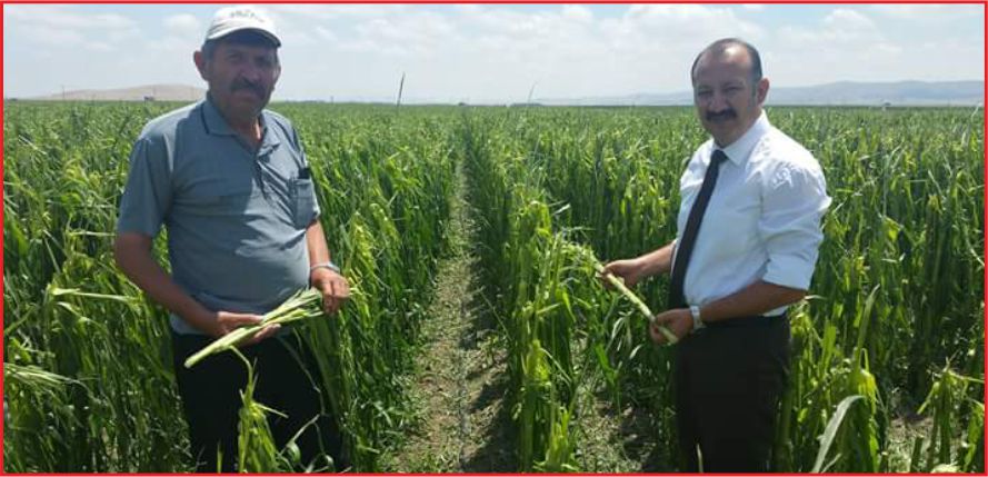 AFETİN FATURASI BÜYÜK