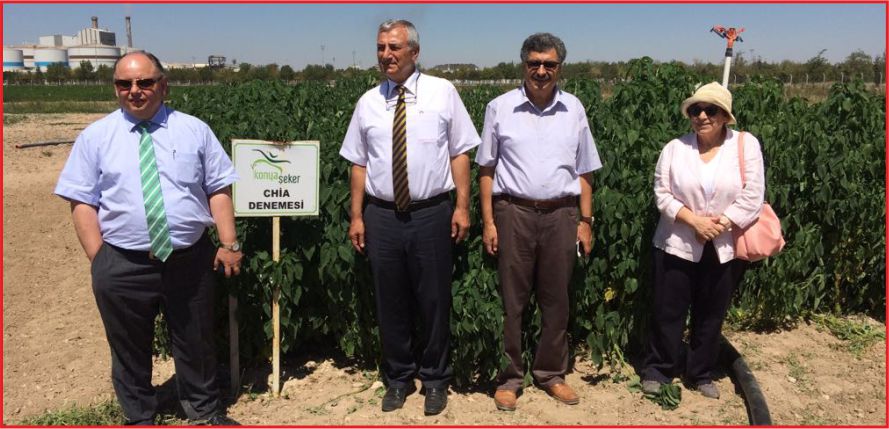 GIDA TARIM ÜNİVERSİTESİNDEN NANE PROJESİ