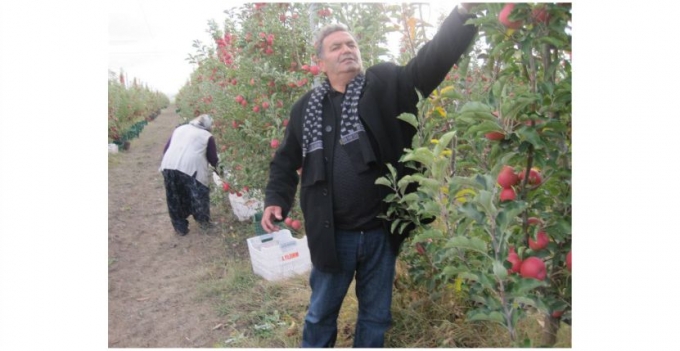 ELMADA HAYAL KIRIKLIĞI !
