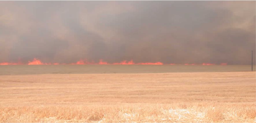 ANIZ YAKAN GELECEĞİNİ YAKAR