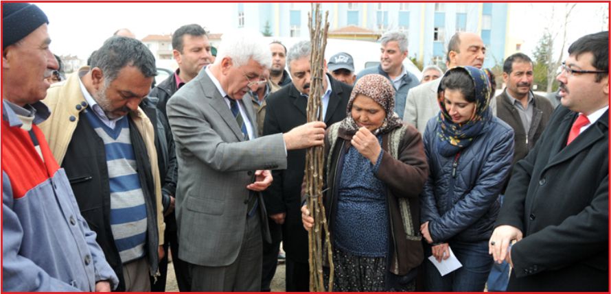 ÇİFTÇİLERİMİZE FİDAN DAĞITIMI