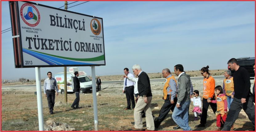 AĞAÇLANDIRMA SEREFBERLİĞİ SÜRÜYOR