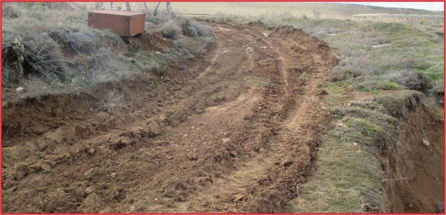 TEMA’DAN TEŞEKKÜR !