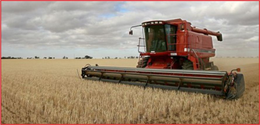 HİBE DESTEKLERİNE HACİZ !