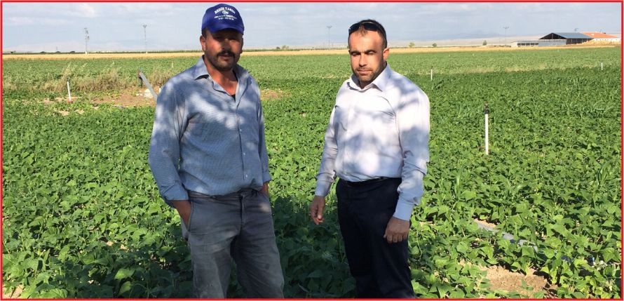 “FASÜLYE ÜRETİCİLERİ GEÇ KALMAMALI!”