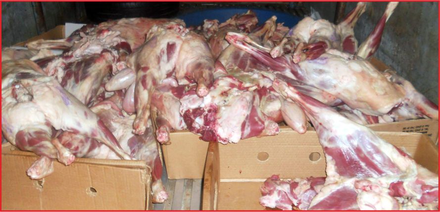 SAĞLIĞIMIZ TEHDİT ALTINDA !