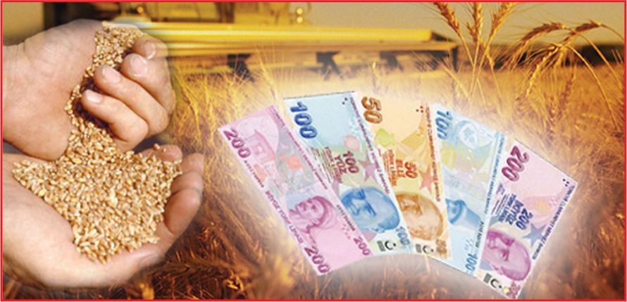 DESTEK ÖDEMELERİ BAŞLIYOR