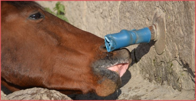 ÖZGÜR ÇOCUKLARIN YAŞAM SAVAŞI !