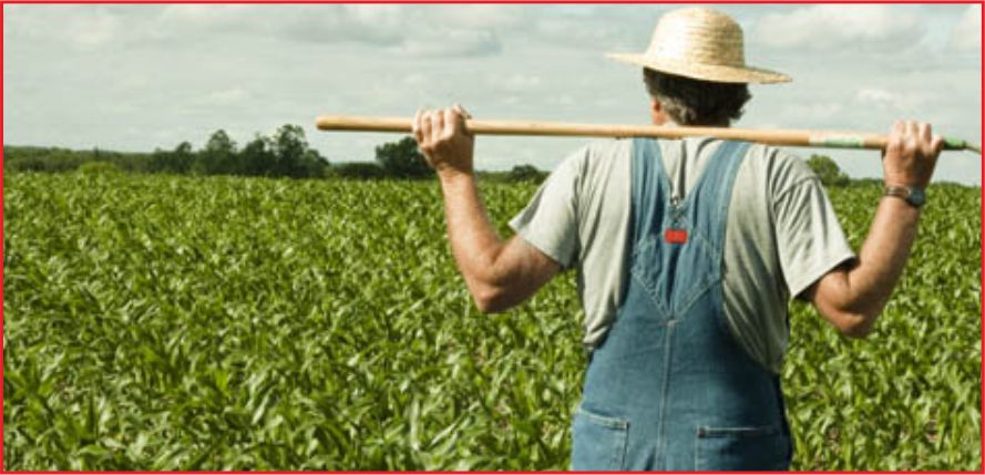 ÇİFTÇİYE HİBE VE KREDİ DESTEĞİ !