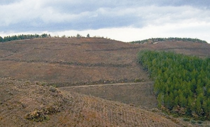 Atıl araziler ekonomiye kazandırılacak