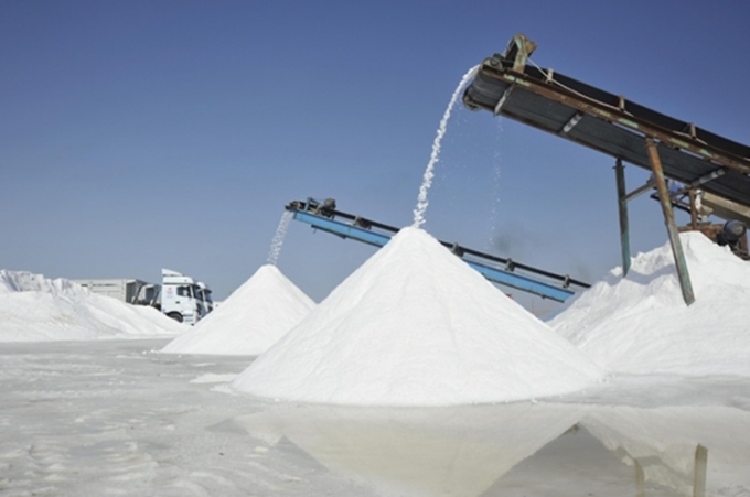 TUZ GÖLÜ\&#039;NDE HASAT BAŞLADI