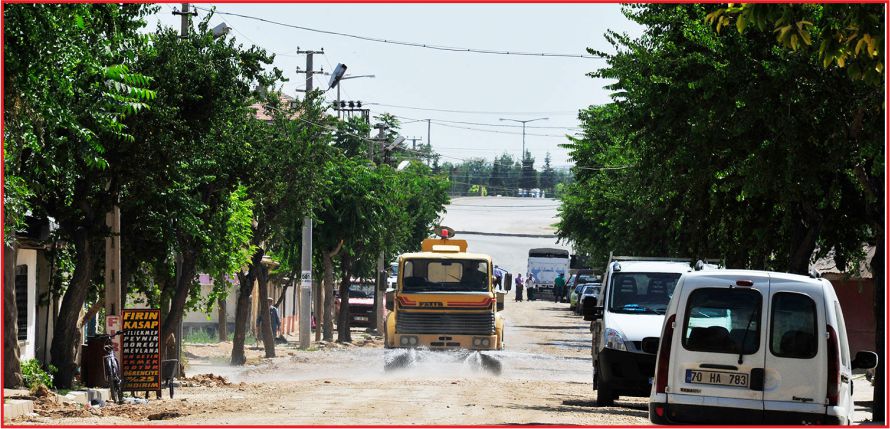 DAHA GÜZEL VE ZARARSIZ AĞAÇLAR DİKİLECEK