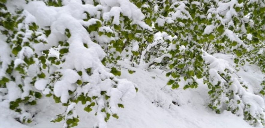 DEKAR BAŞINA YARDIM !