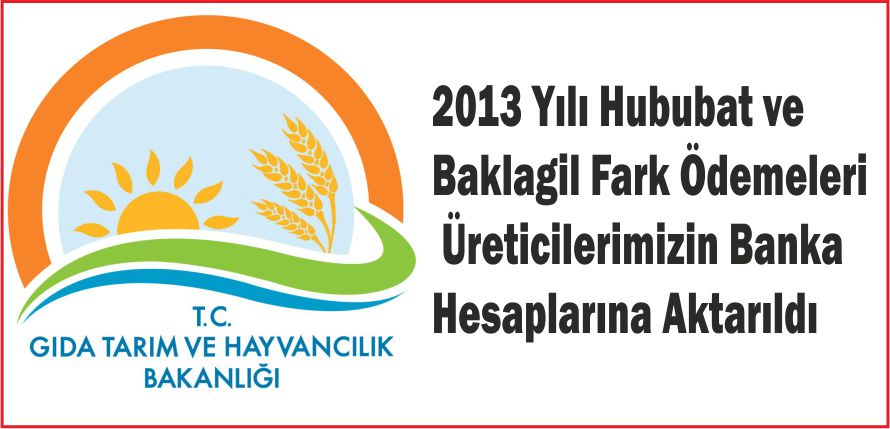 2013 YILI HUBUBAT VE BAKLAGİL FARK ÖDEMELERİ  ÜRETİCİLERİMİZİN BANKA HESAPLARINA AKTARILDI
