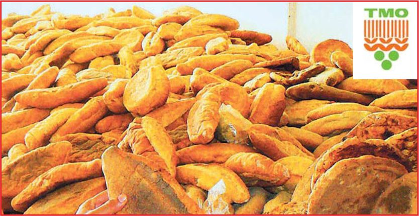 TMO’DAN “EKMEK İSRAFINI ÖNLEME KAMPANYASI”