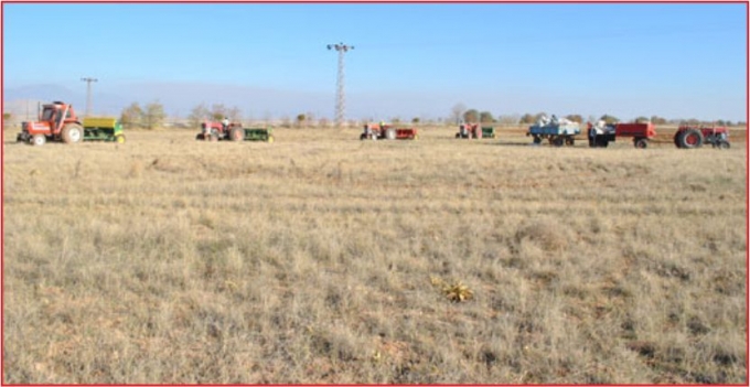 MERA ISLAH ÇALIŞMALARINA BAŞLANDI