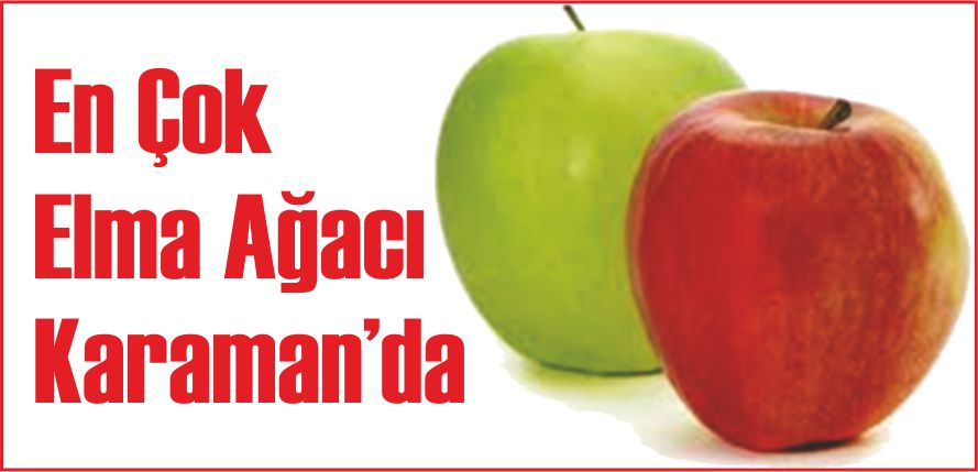 EN ÇOK ELMA AĞACI KARAMAN’DA
