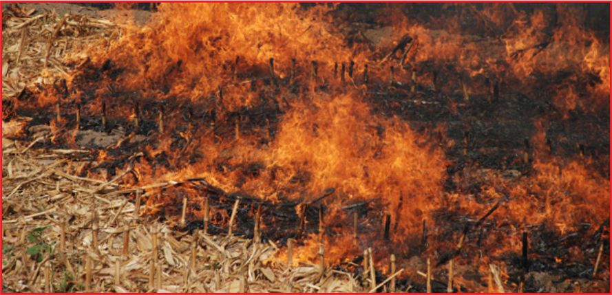 ANIZ YAKMANIN CEZASI ARTIRILDI