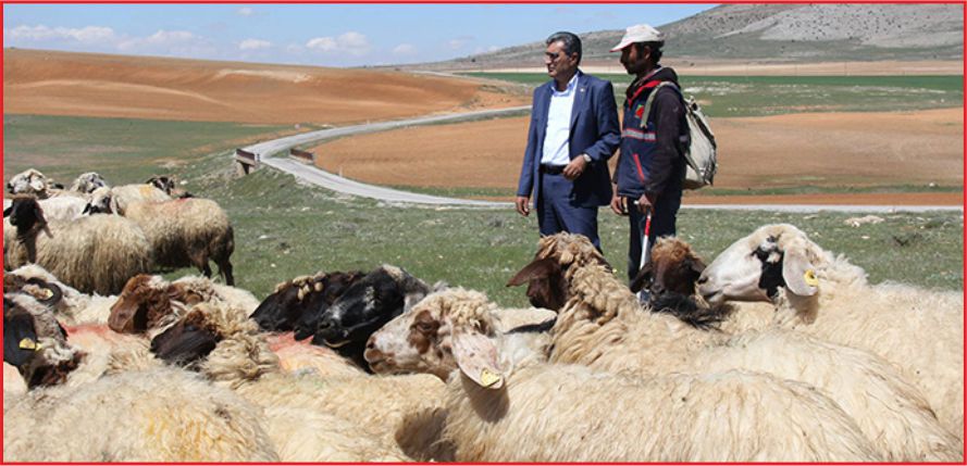 “BU TOPRAKLARIN GENLERİNDE BİRLİK RUHU VAR”