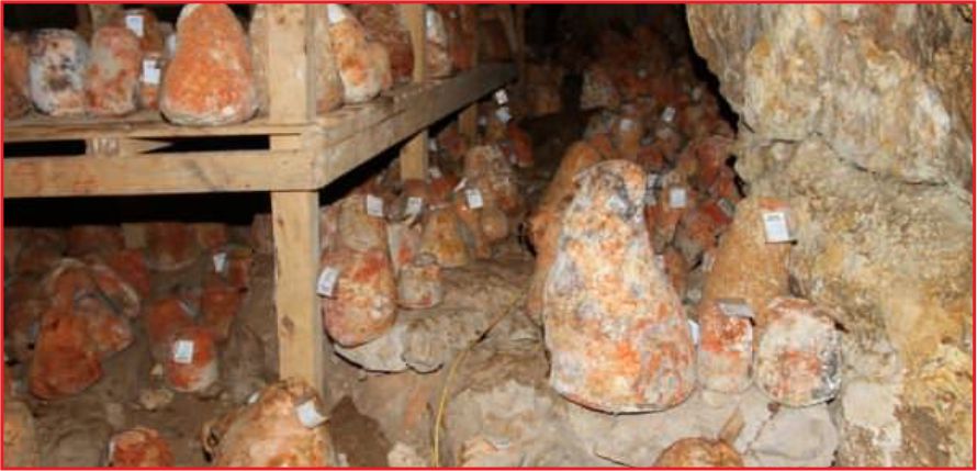 ‘COĞRAFİ İŞARET ALABİLECEK 2 BİN 500 ÜRÜNÜMÜZ VAR'