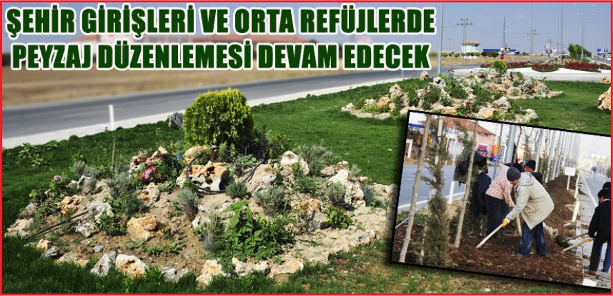 PEYZAJ DÜZENLEMESİ