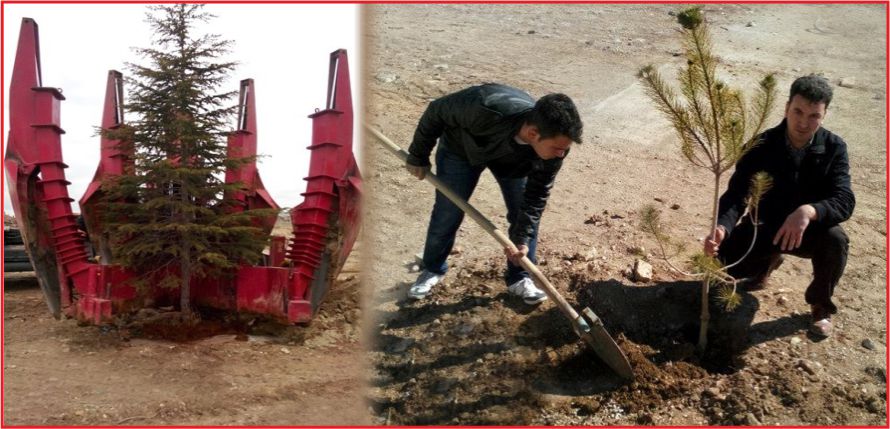 KAZIM KARABEKİR MYO AĞAÇLANDIRILDI