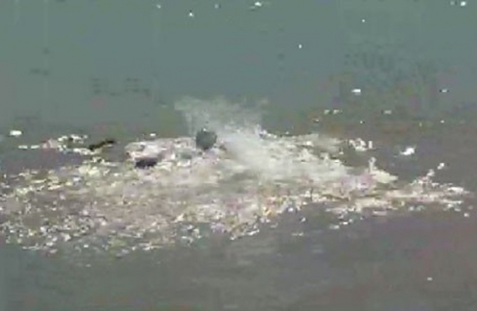 Sulama Havuzunda Boğuldu