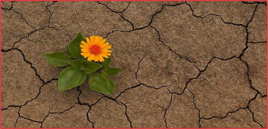 “100 YILIN EN KURAK DÖNEMİ KAPIDA”