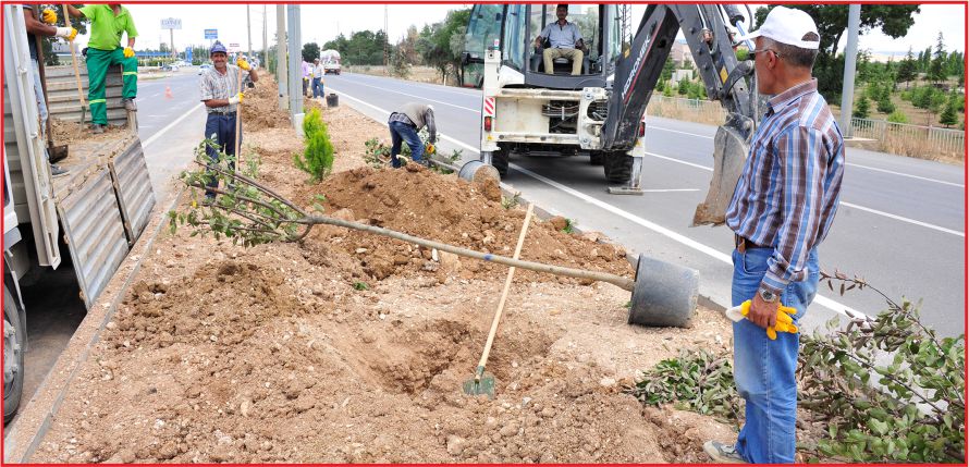 YEMYEŞİL BİR KARAMAN