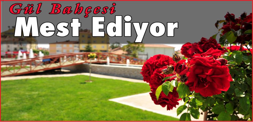 KARAMAN’IN GÜLLERİ !