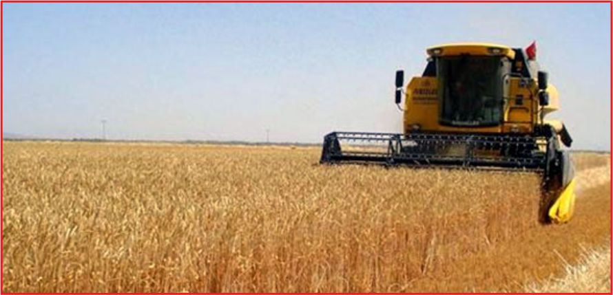 HUBUBATTA ALARM ZİLLERİ ÇALIYOR