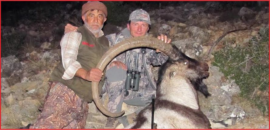 YABAN KEÇİSİ AVLANDI